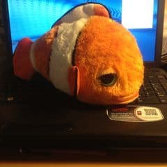 Rita Warner profile picture