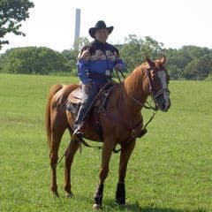 Lisa Cather profile picture