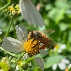 Janice Patterson profile picture