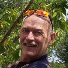 Mark McInnes profile picture