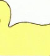 Tina Duck (Res and Comm)