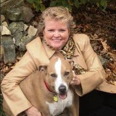 Mary Reese profile picture