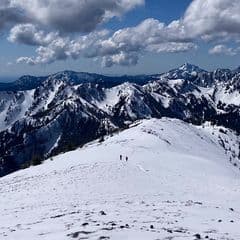 Stephanie Vezina profile picture