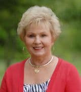 Sue Meek profile picture