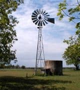 Shannon Koonsman profile picture