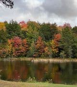 Rebecca Smith profile picture