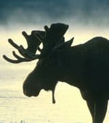 Richard V Poveromo profile picture