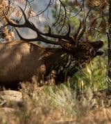 Kevin Copeland profile picture