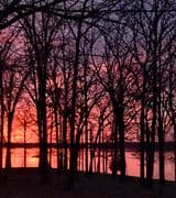 Brannon Elaine Alvarez profile picture