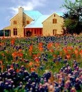 Mario Casarez profile picture