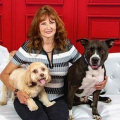 Rebecca Williams (Res and Comm) profile picture