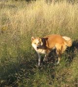 Barbara Graham profile picture