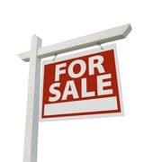 Dorothy McArdle profile picture