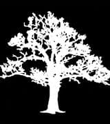 Mk K Absher profile picture