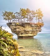 Toni Binkley profile picture