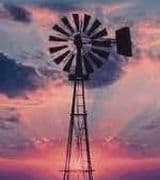 Sidney Carlisle profile picture