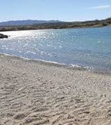 Richard Summitt profile picture