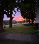 Susan Barnett profile picture